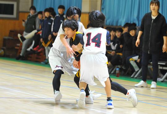 DSC_9084.JPG